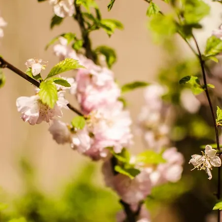 Scandic Hygge Im Weserbergland 아파트 *